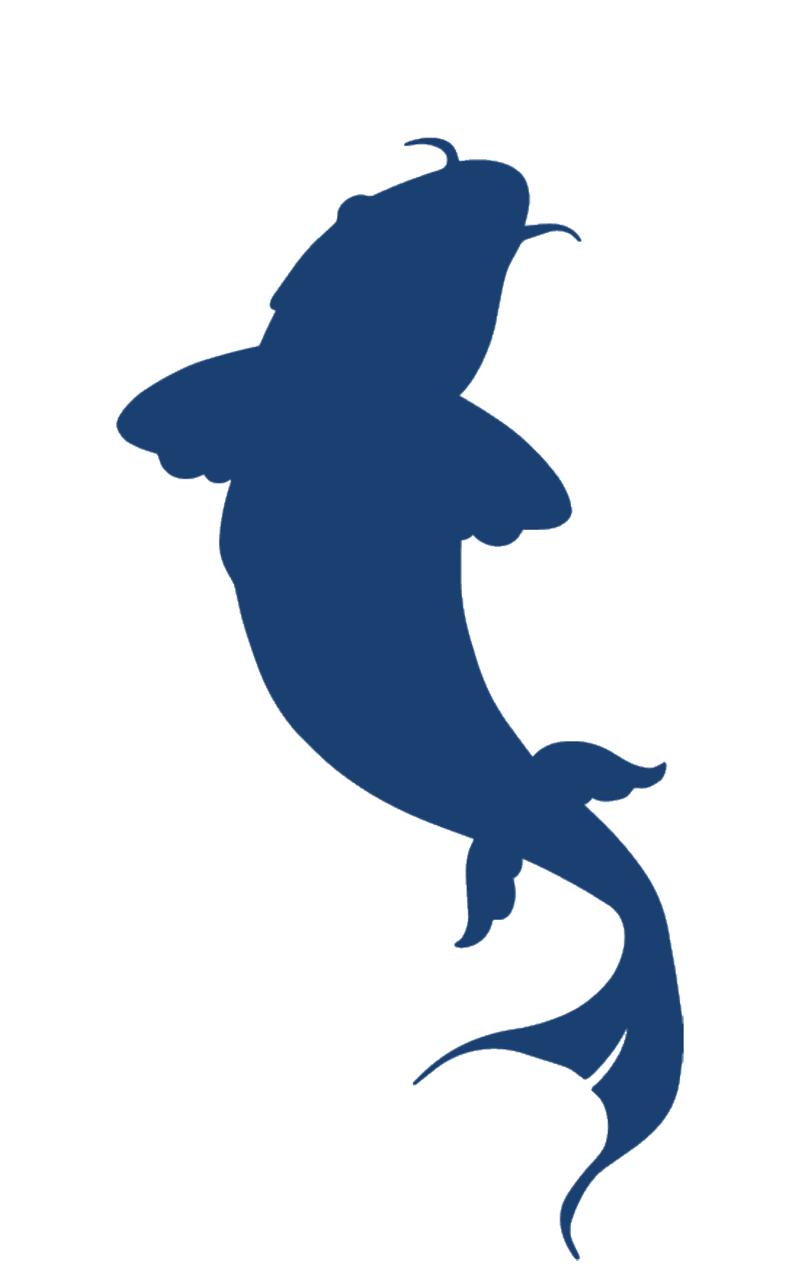 Mascote Koi da Wave Learn